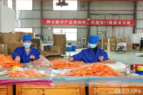 2020最難 打工人 每天一睜眼,就是300人的生存