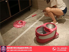拖把產(chǎn)品質(zhì)量 煙臺拖把產(chǎn)品 麗爾家日用品廠家直銷