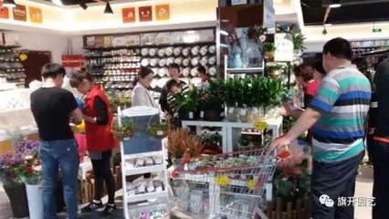 盆景銷售渠道初探 : 未來銷售的主渠道或要轉(zhuǎn)向!